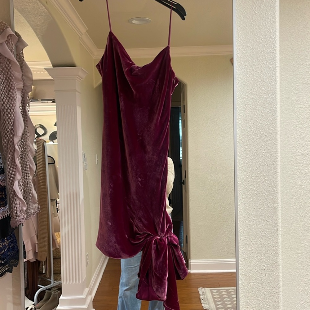 Cinq a sept velvet dress!